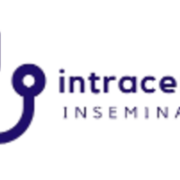intracervical insemination