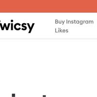 twicsybuy instagramfollowers