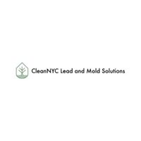 CleanNYC Lead Lead