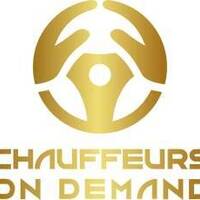 chauffeurs on demand