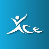 Ace Volleyball  Academy