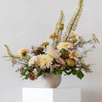 Fiore  Designs