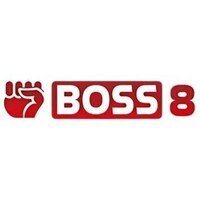 BOSS8 AORG