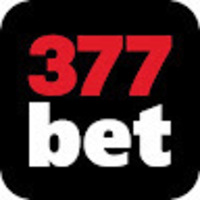 377bet 