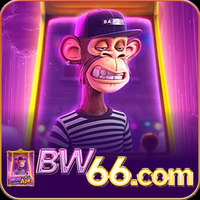 bw66app 