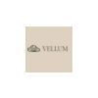 Vellum Health