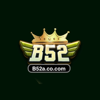 b 52