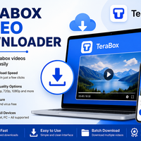 Terabox Video Downloader