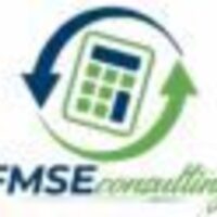 FMSE CONSULTING  LLC