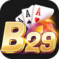 b29 