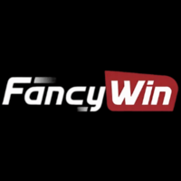 fancywin 