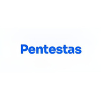 SaaS Penetration Testin