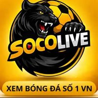 socoliv e1cam