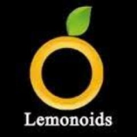 Lemonoids Digital Marketing