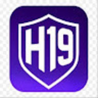 H19 