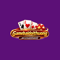 gamebai doithuongaccountant