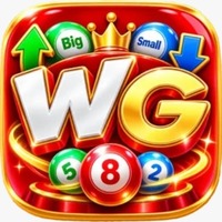wingo game