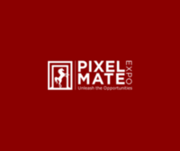 pixelmateexpo