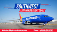 Flights Assistance