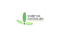 Plantas anuales para macetas