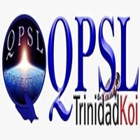 qpsltd