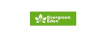 Evergreen Hedging Plants