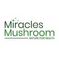 Miracles Mushroom