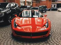 Pure Protection Film
