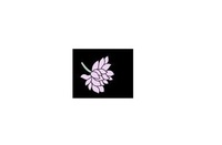 Chinese massage Near Me