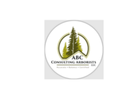 Abc Consultants