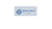 Cyber Security Consultant