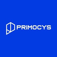 Custom Mobile App Development Company – Primocys