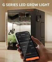 growlampe1