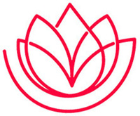 LBC LASER MD