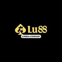 LU88 SACOMPANY